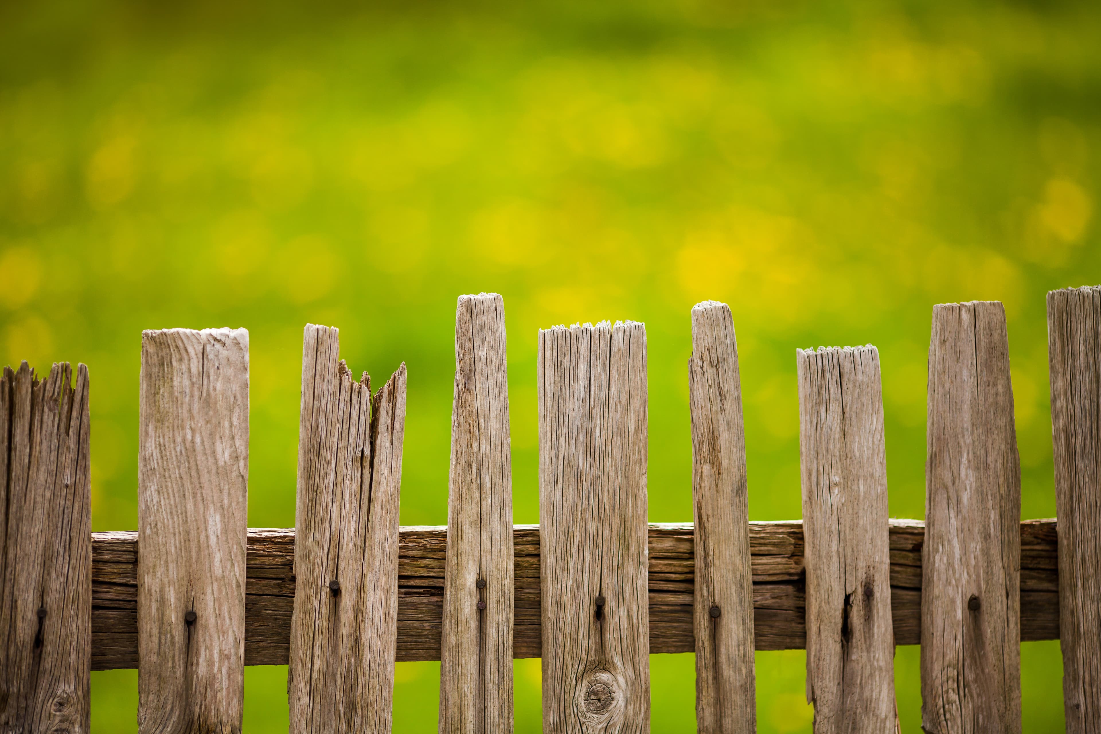 What It Will Cost You — Limits That Protect